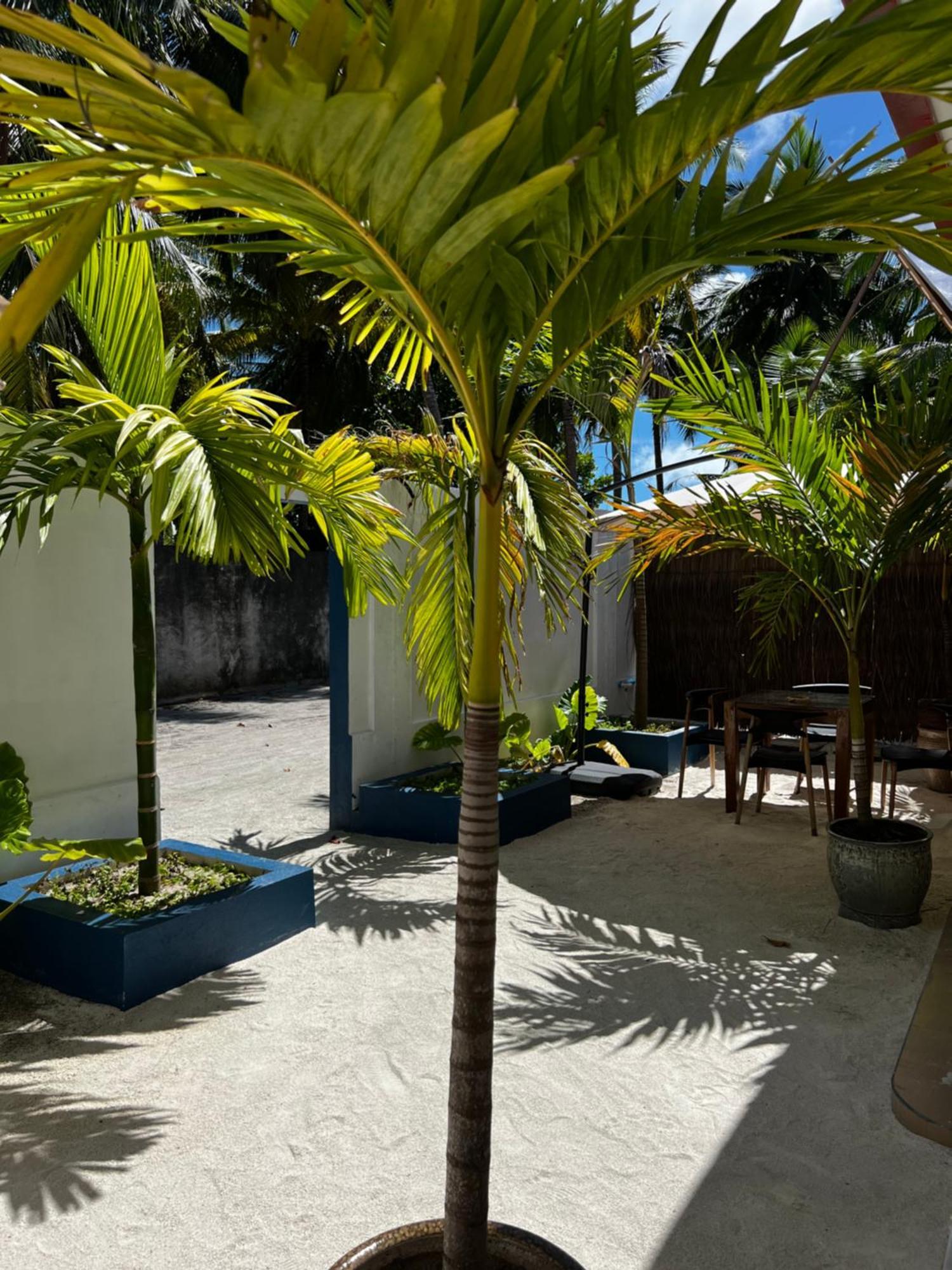 Captal Beach Villa Mathiveri Exterior photo
